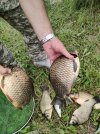 IMG20260817150702.jpg