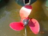 DSCN2770.jpg