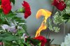 DSC_2024 копия.jpg