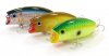 lucky_craft_malas_780.jpg lucky_craft_malas_780.jpg