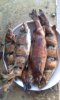 IMG-20150520-WA0037.jpeg