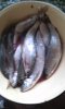 IMG-20150524-WA0000.jpeg