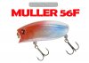 Muller56F-1024x732.jpg