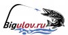 бигулов.jpg бигулов.jpg
