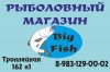 бигфиш.JPG бигфиш.JPG