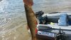 20150712_083117.jpg