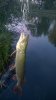 WP_20150902_005.jpg