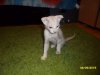 SAM_0488.JPG