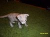 SAM_0490.JPG