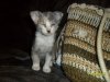 SAM_0036.JPG