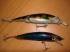 DSC03654.JPG