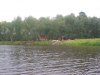 IMG_3442.JPG