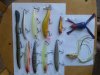 20160321_113054.jpg