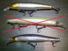 WP_20160309_006.jpg