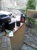 IMG_20160325_124948.jpg
