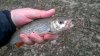 WP_20160326_16_25_57_Pro.jpg