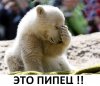 4zb8h7U6j80.jpg