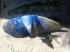 20160512_131454.jpg