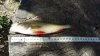 IMG-20160528-WA0000.jpg