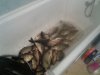 20160601_211420.jpg