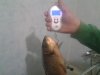 20160601_211258.jpg