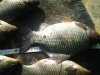 20160518_071150.jpg