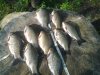 20160518_071157.jpg