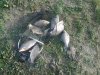 20160518_064818.jpg