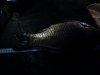 20160516_211240.jpg
