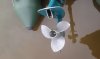 20160419_110253.jpg 20160419_110253.jpg