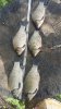 IMG-20160618-WA0004.jpg