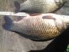 WP_20160625_002.jpg