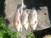 WP_20160625_004.jpg