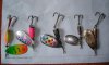 DSC07327.JPG