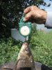IMG_20160714_095840.jpg