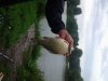 20160718_165527.jpg