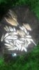 P_20160723_185822_LL.jpg