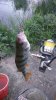 IMG-20160726-WA0002.jpg
