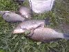 20160802_064433.jpg