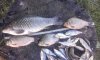 IMG-20160804-WA0024.jpg