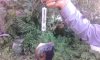 IMG-20160804-WA0022.jpg