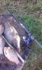IMG-20160804-WA0016.jpg