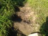 20160814_071557.jpg