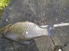 20160814_091243.jpg