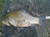 20160814_091209.jpg