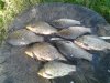 20160814_090945.jpg