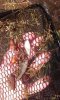 IMG-20160814-WA0000.jpg