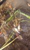IMG-20160814-WA0003.jpg