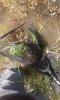IMG-20160814-WA0001.jpg