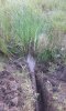 IMG-20160814-WA0002.jpg